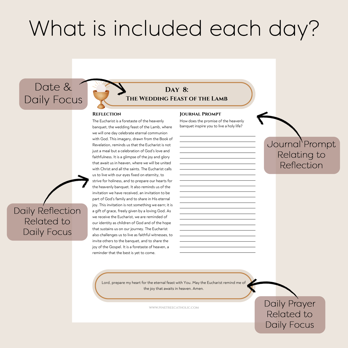 Eucharist 30 day Devotional | Digital Download