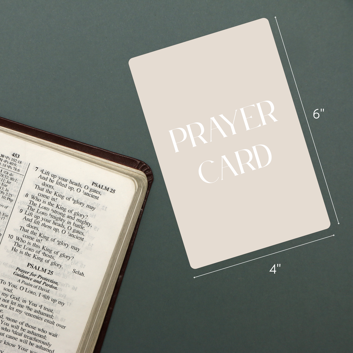 St. Michael Catholic Prayer Card | Holy Card | Pine Tree Catholic